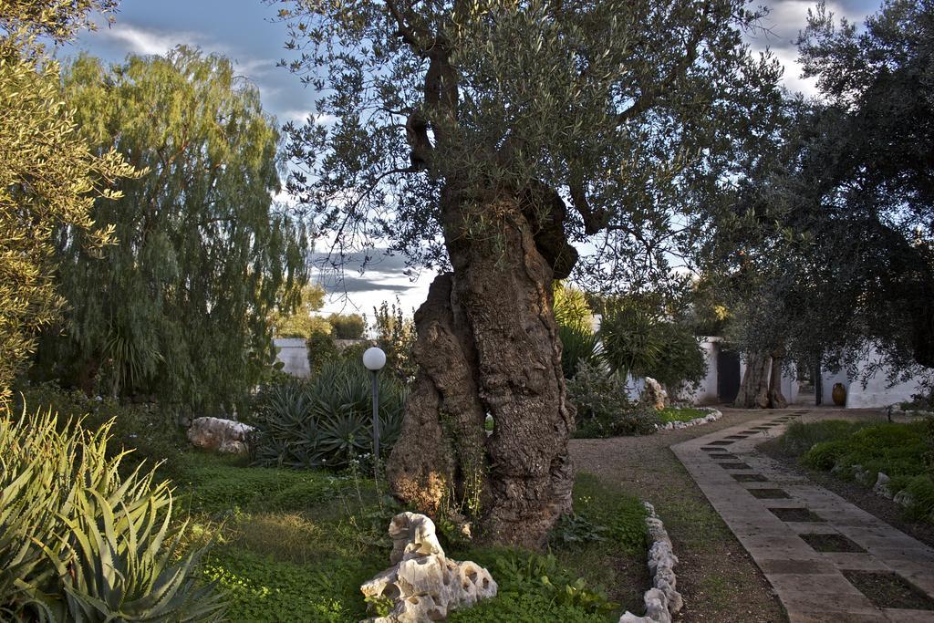 Macchia di Monte Masseria Vagone מראה חיצוני תמונה